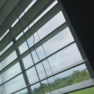 Meet your Posher, Catalina